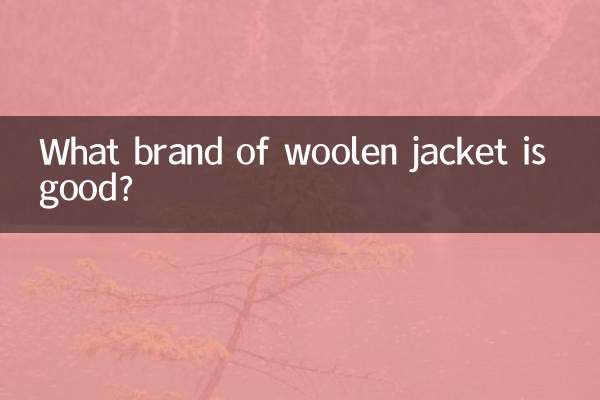 উলের জ্যাকেট কোন ব্র্যান্ডের ভালো?