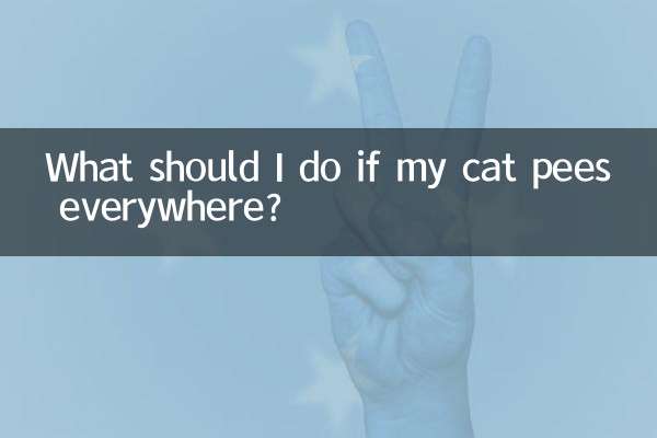 What should I do if my cat pees everywhere?