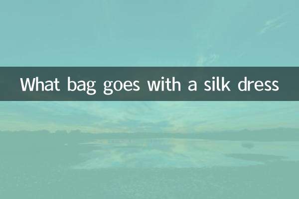Какая сумка подойдет к шелковому платью