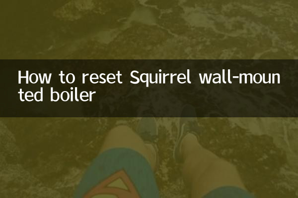 نحوه تنظیم مجدد دیگ دیواری Squirrel