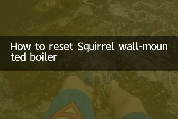 Como reiniciar a caldeira de parede Squirrel