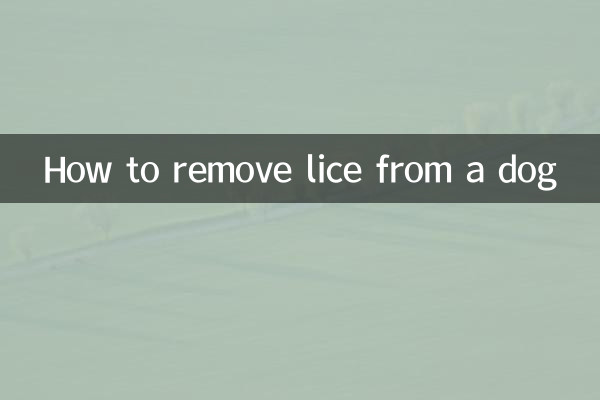 نحوه حذف شپش از سگ