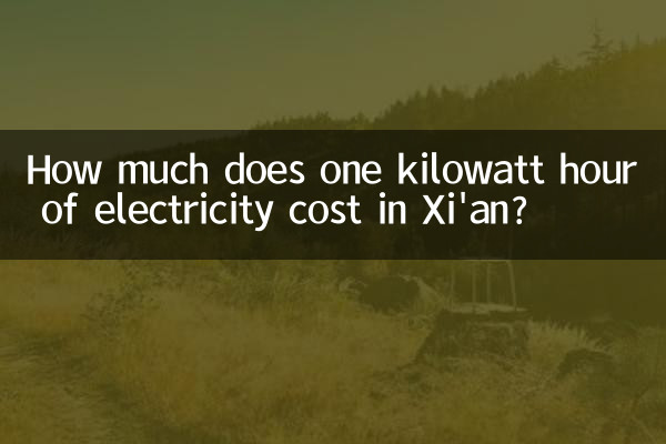 西安の1キロワット時の電気代はいくらですか?