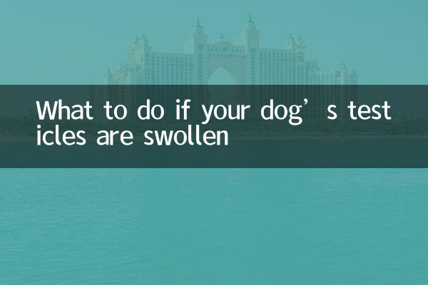 আপনার কুকুরের অণ্ডকোষ ফুলে গেলে কী করবেন