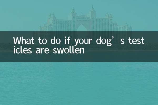 ماذا تفعل إذا كانت خصيتي كلبك منتفخة