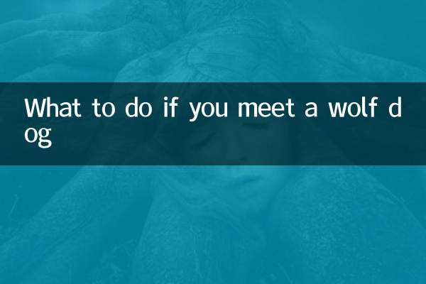 늑대개를 만나면 어떻게 해야 할까요?