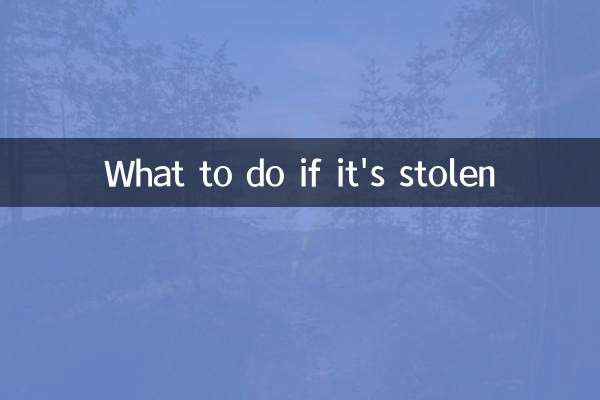 Was tun, wenn es gestohlen wird?