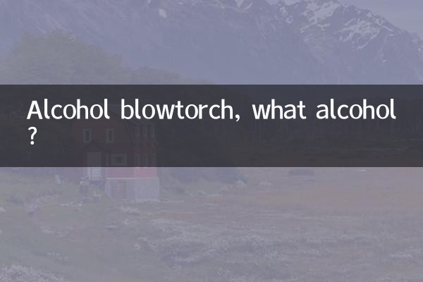 알코올 토치, 무슨 알코올?