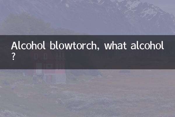 알코올 토치, 무슨 알코올?
