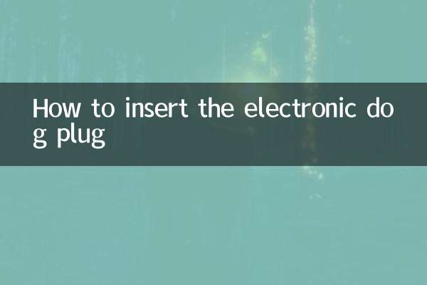 電子狗插頭怎麼插