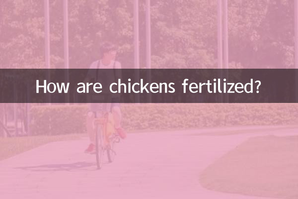 닭은 어떻게 수정됩니까?