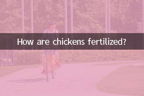 닭은 어떻게 수정됩니까?