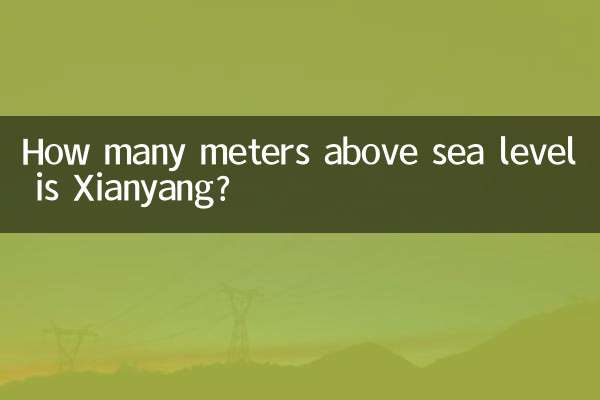咸陽の標高は何メートルですか?