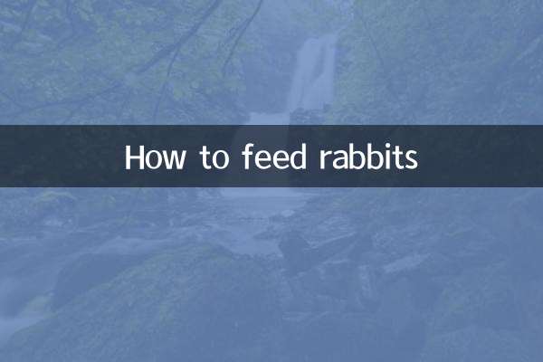 Come nutrire i conigli