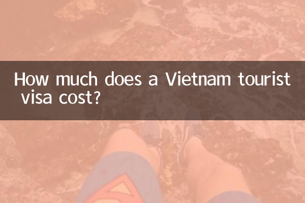 ベトナムの観光ビザの費用はいくらですか?