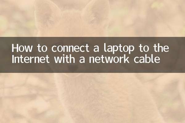 How to connect a laptop to the Internet with a network cable