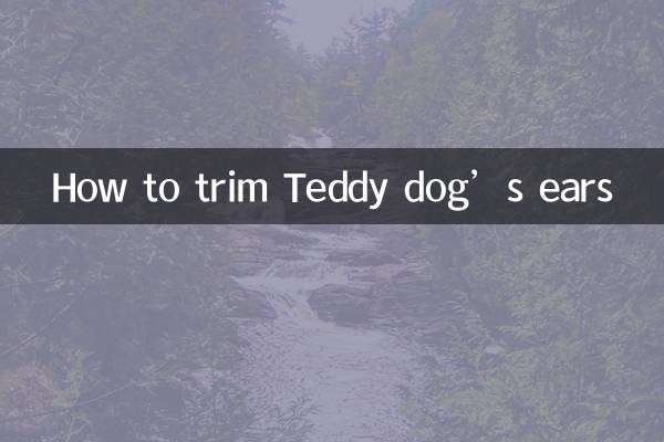泰迪犬的耳朵怎么修剪