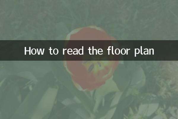 平面户型图怎么看