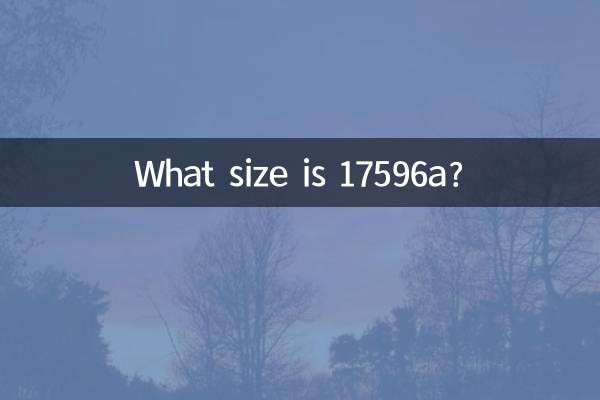 What size is 17596a?