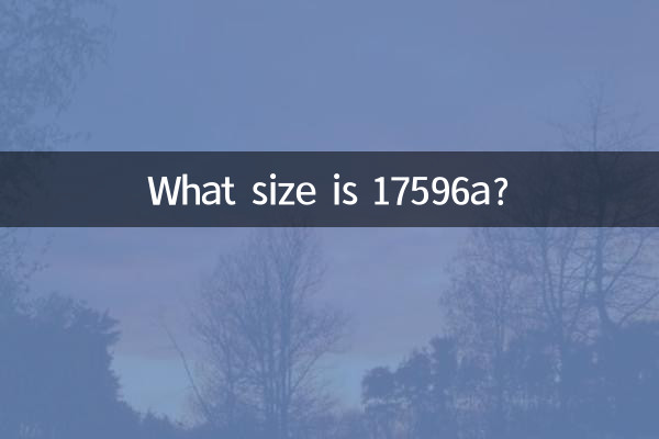 What size is 17596a?
