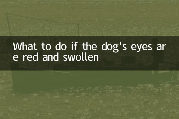 O que fazer se os olhos do cachorro estiverem vermelhos e inchados