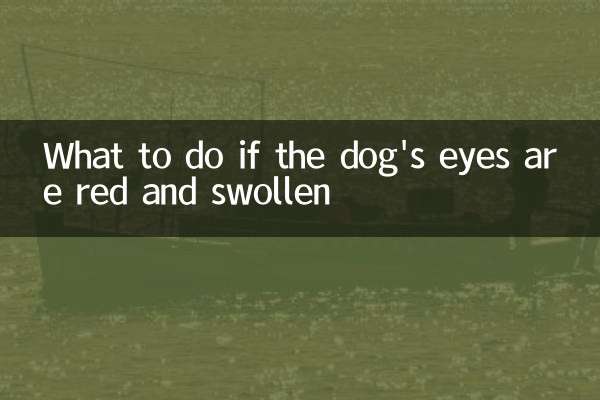 O que fazer se os olhos do cachorro estiverem vermelhos e inchados