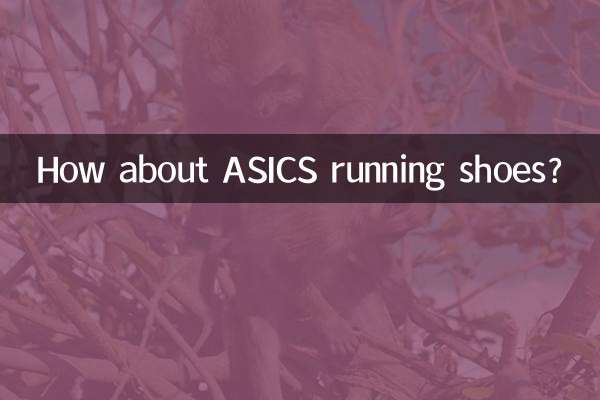 در مورد کفش های در حال اجرا ASIC چطور؟