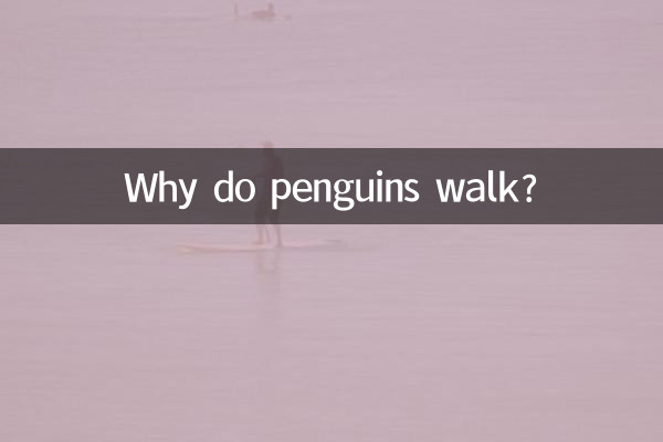 Why do penguins walk?
