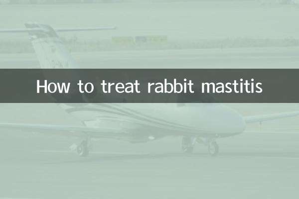 How to treat rabbit mastitis