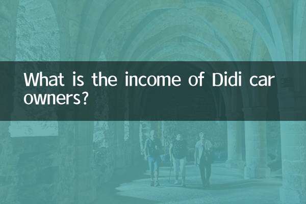 Didi 자동차 소유자의 소득은 얼마입니까?