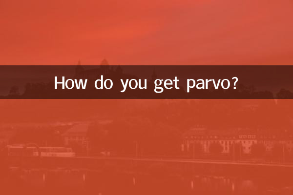 كيف تحصل على البارفو؟