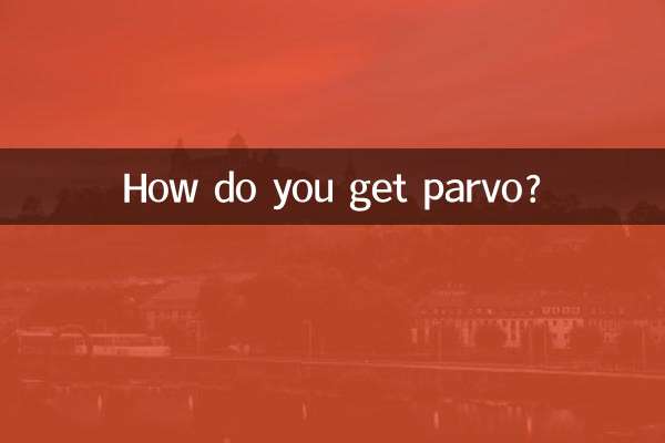 كيف تحصل على البارفو؟