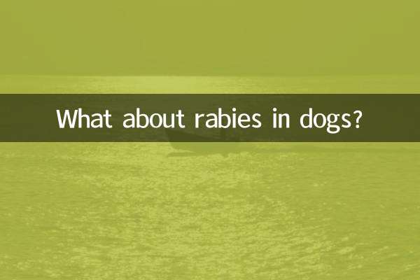 کتوں میں ریبیوں کے بارے میں کیا خیال ہے؟