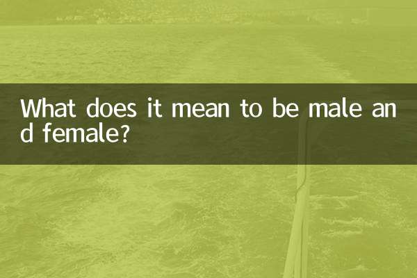 مرد و زن بودن به چه معناست؟