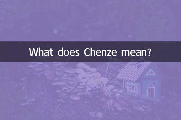 チェンツェとはどういう意味ですか？