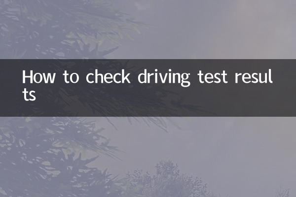 운전면허시험 결과 확인 방법