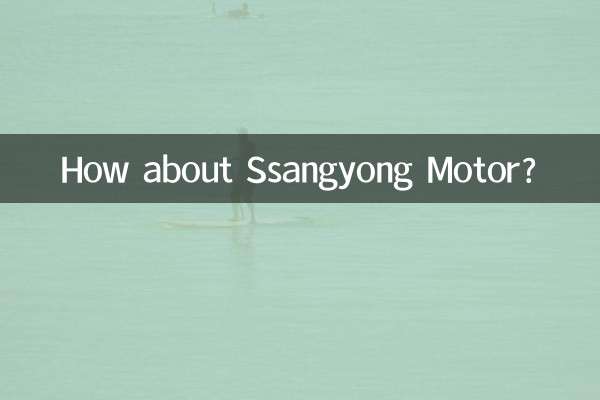 双竜自動車はどうですか？