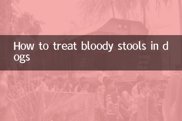 کتوں میں خونی پاخانہ کا علاج کیسے کریں