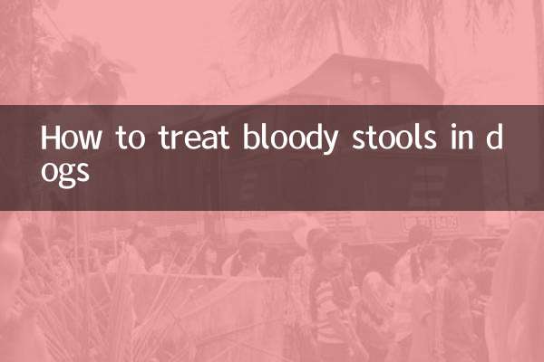 کتوں میں خونی پاخانہ کا علاج کیسے کریں