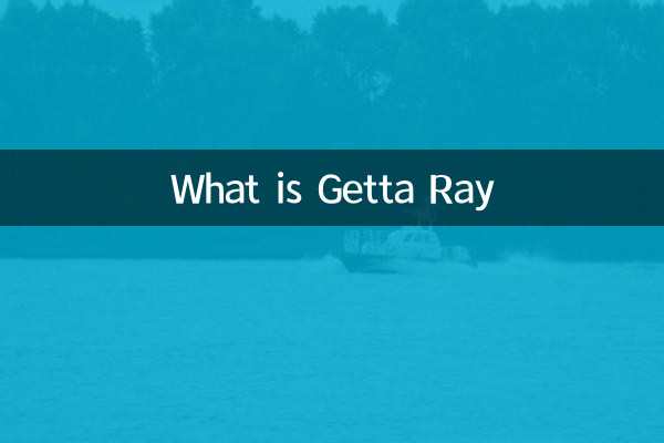 게타 레이 란 무엇입니까?