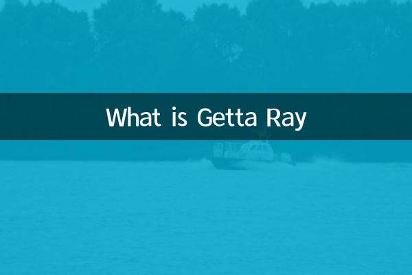 게타 레이 란 무엇입니까?