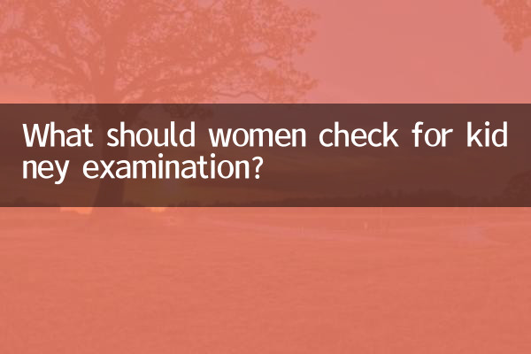 女性は腎臓検査で何をチェックする必要がありますか?