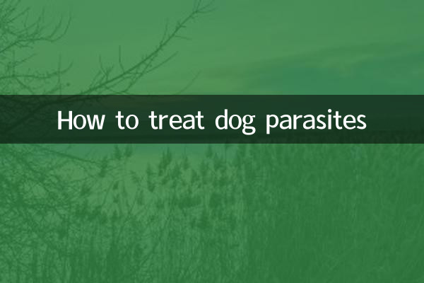 Como tratar parasitas de cães