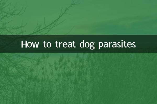 Wie man Parasiten bei Hunden behandelt