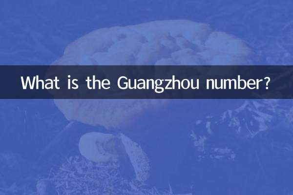 What is the Guangzhou number?