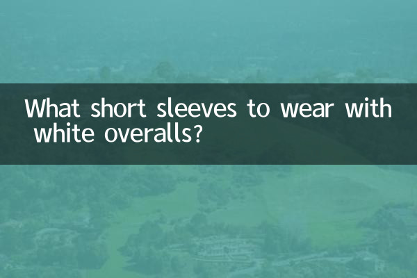 白いオーバーオールに着る半袖は何ですか?