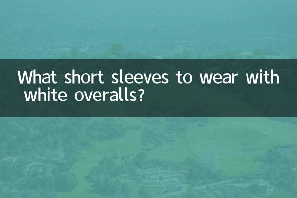 白いオーバーオールに着る半袖は何ですか?