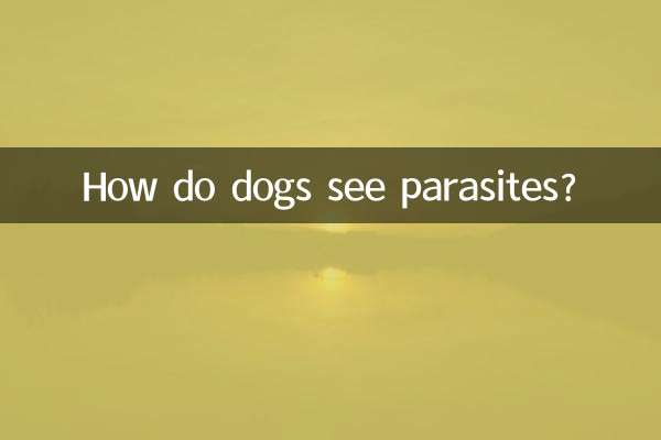 How do dogs see parasites?
