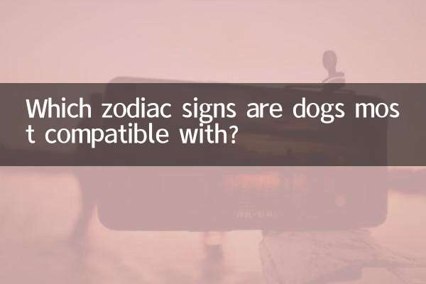 狗与什么生肖最配