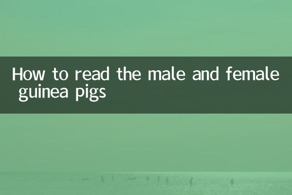 How to read the male and female guinea pigs